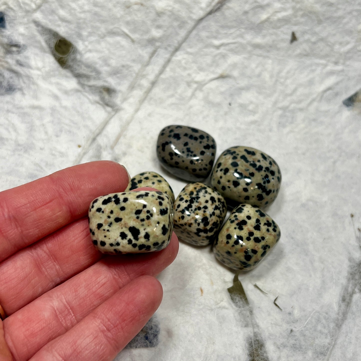 Dalmatian Jasper Tumblestone