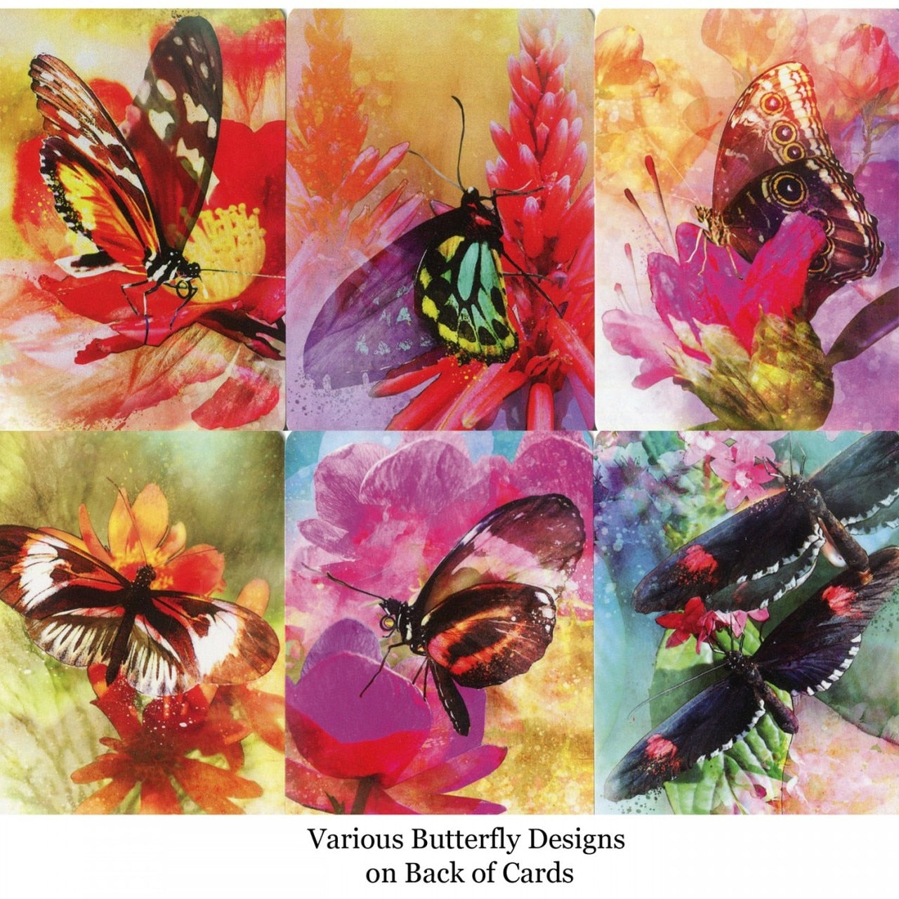 Butterfly Affirmations by Alana Fairchild