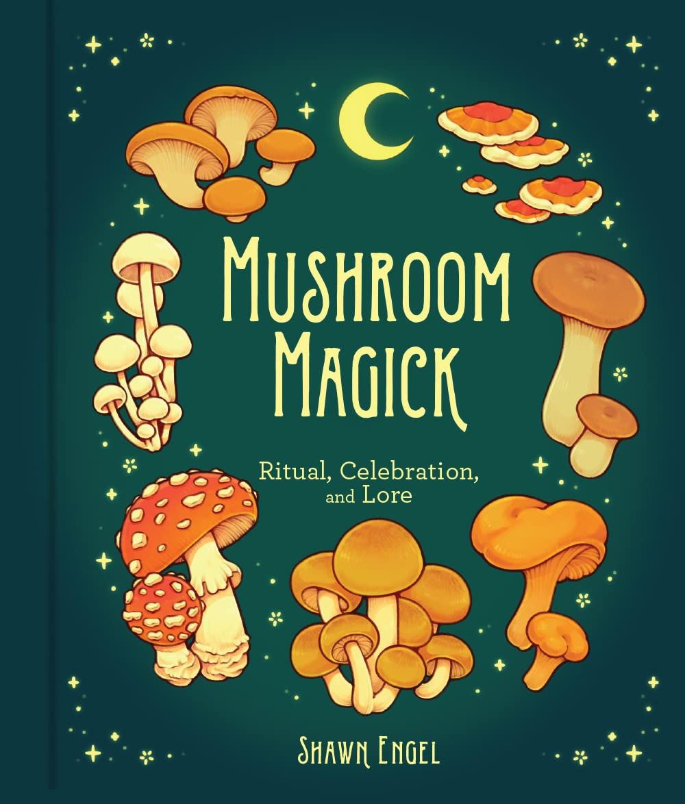 Mushroom Magic by Shawn Engel