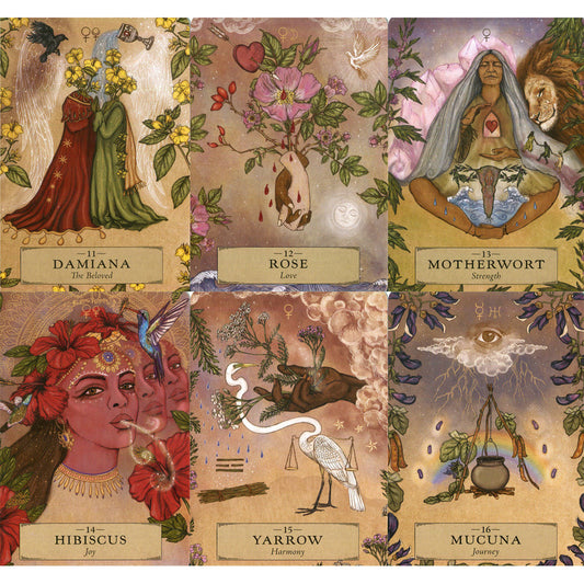 The Herbal Astrology Oracle - Adriana Ayales