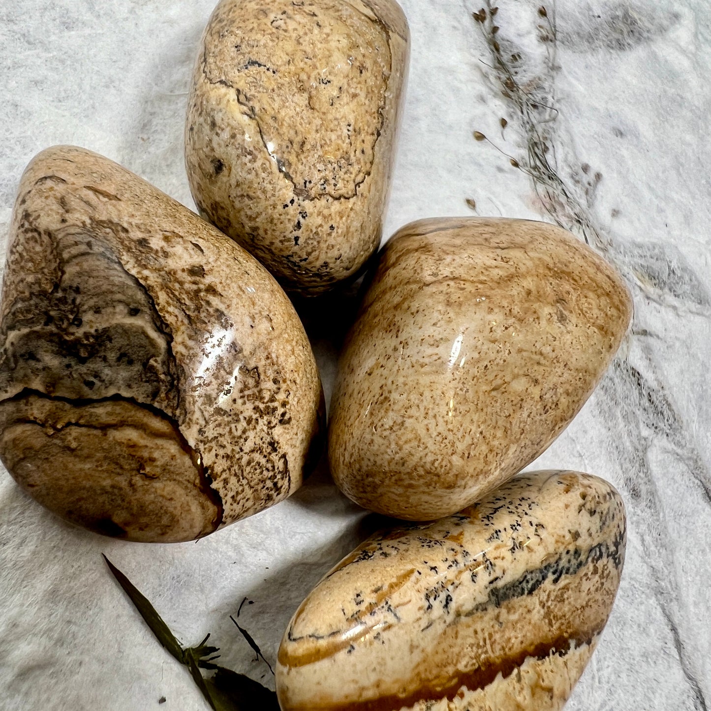 Picture Jasper Tumblestone