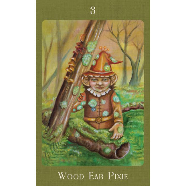 Mushroom Folk Oracle - Sharon McLeod