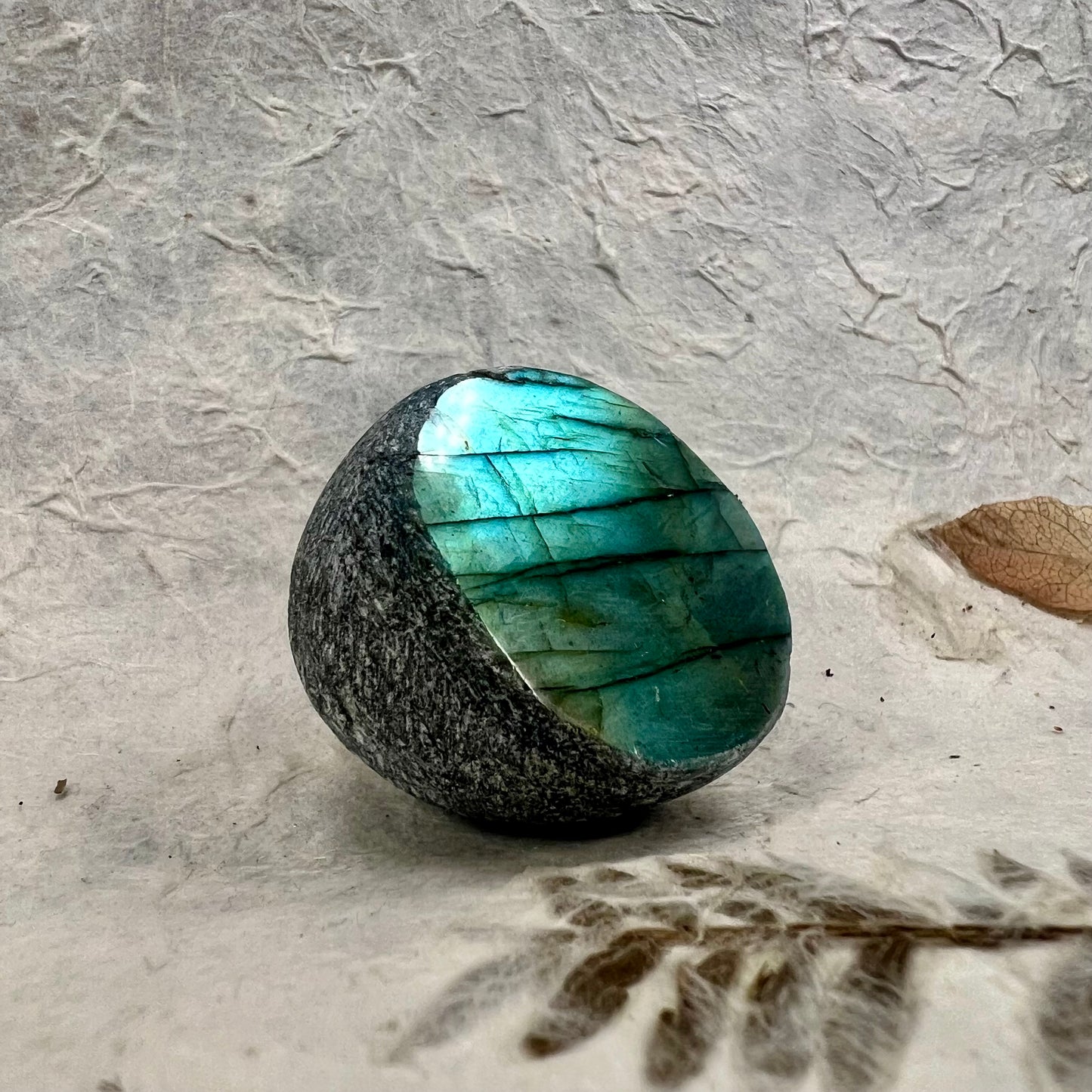 Labradorite Polished Dragon Egg