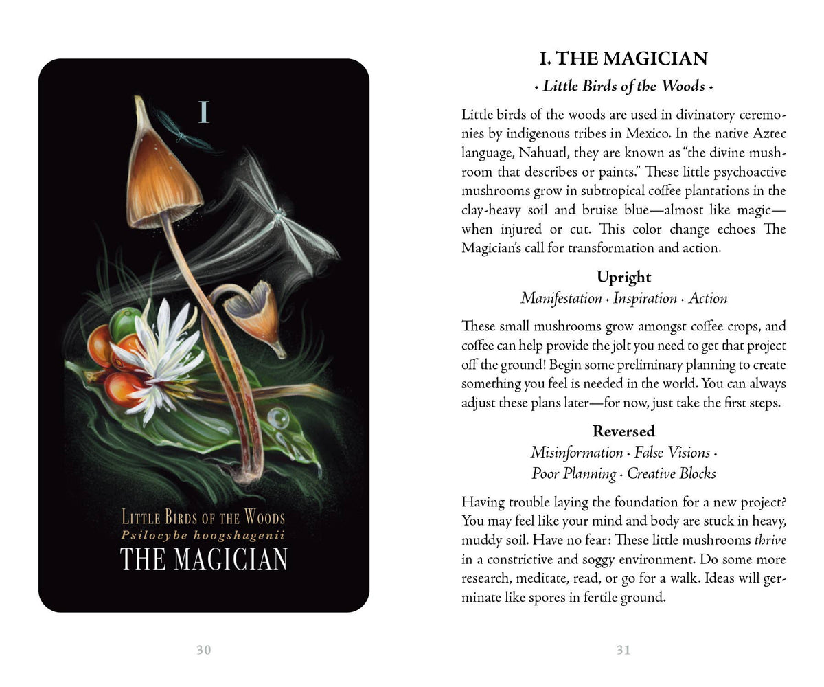 Midnight Magic Tarot Deck