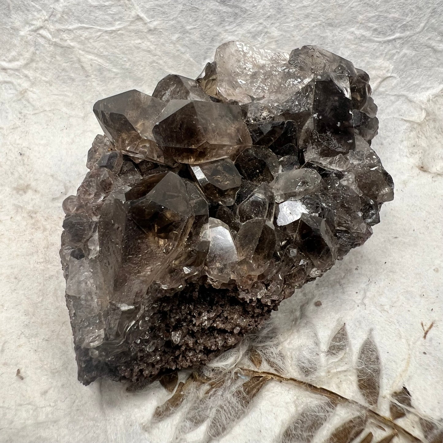 Raw Smoky Phantom Quartz