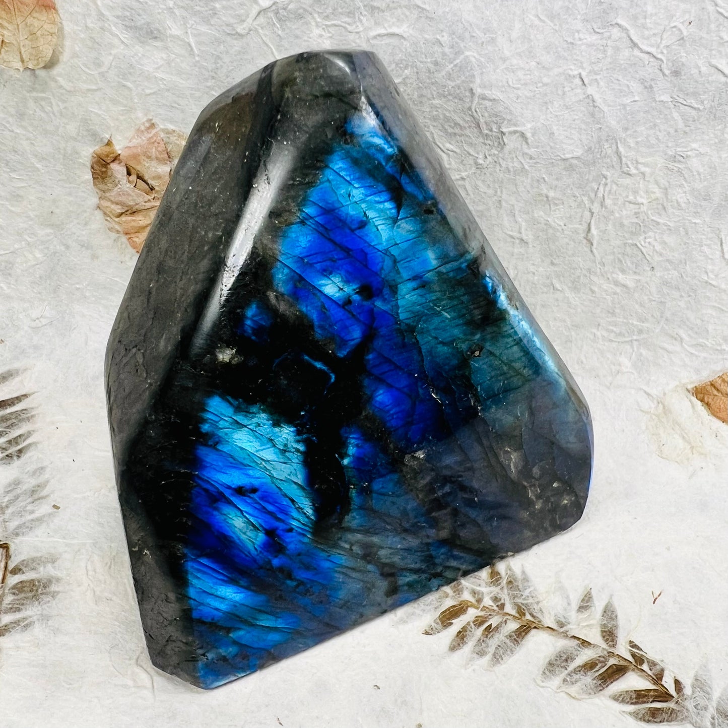 Labradorite Freeform