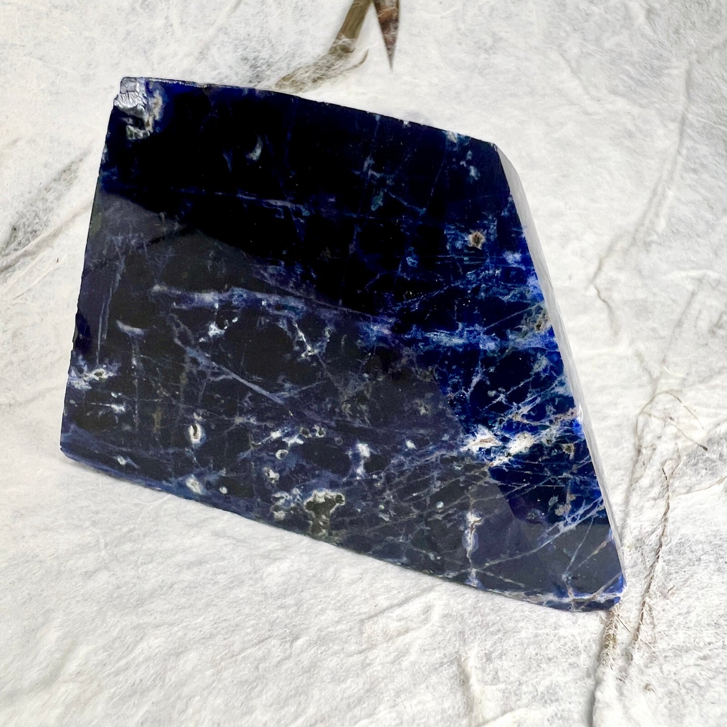 Sodalite Freeform