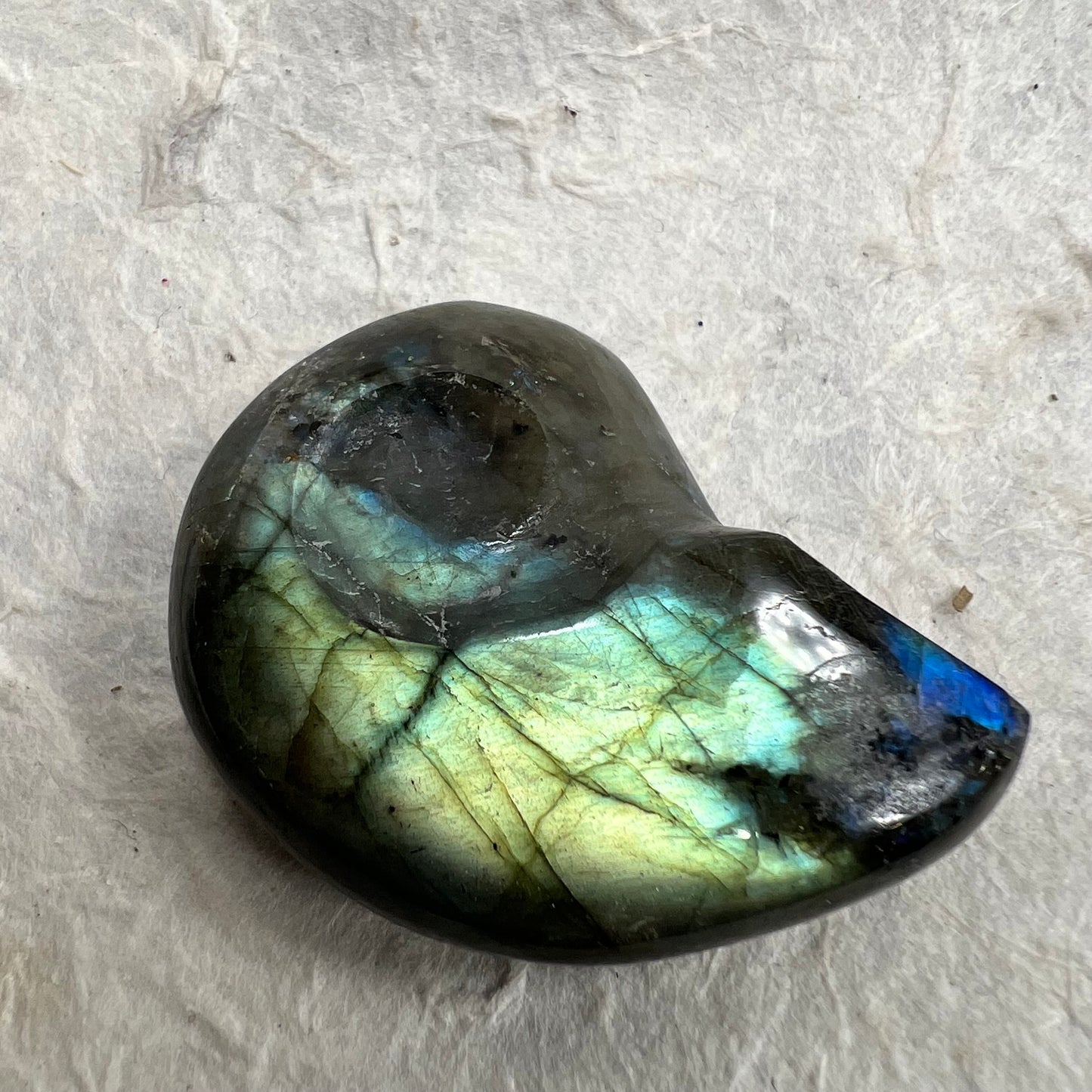 Labradorite Ammonite