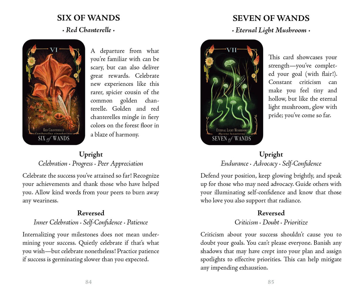 Midnight Magic Tarot Deck