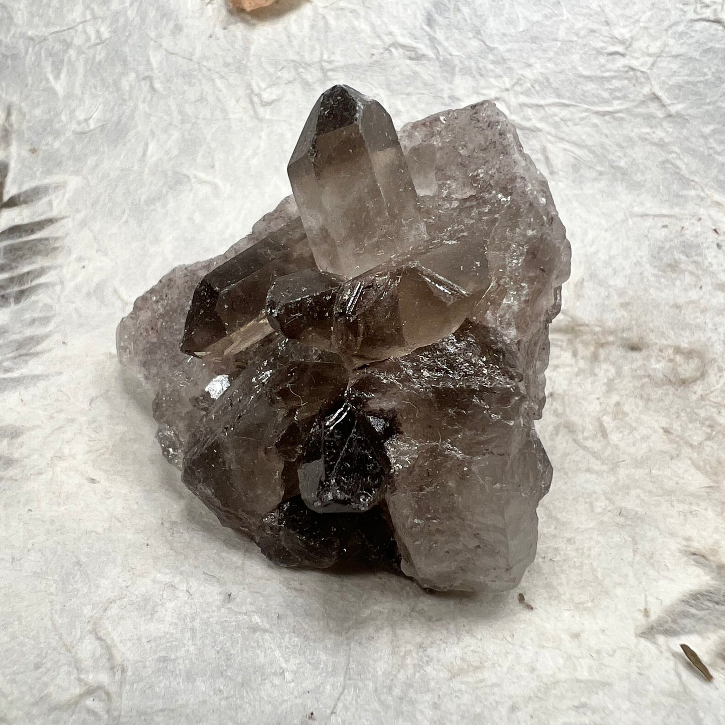 Raw Smoky Phantom Quartz