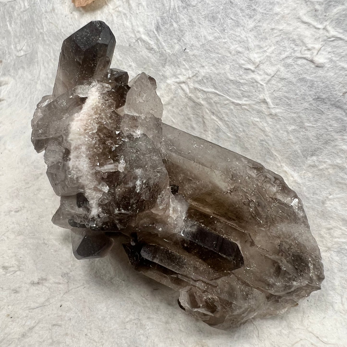 Raw Smoky Phantom Quartz