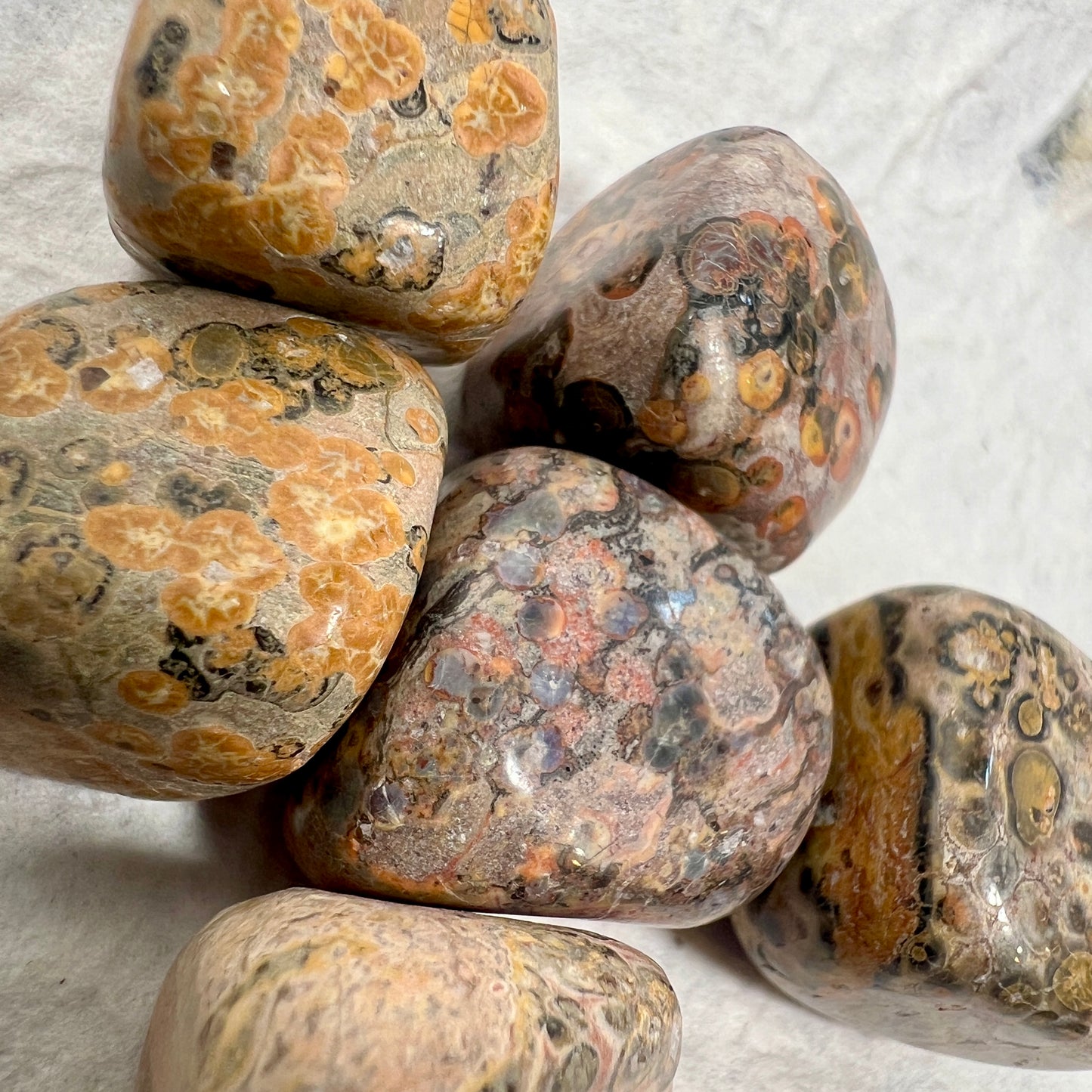 Leopard Skin Jasper Tumblestone