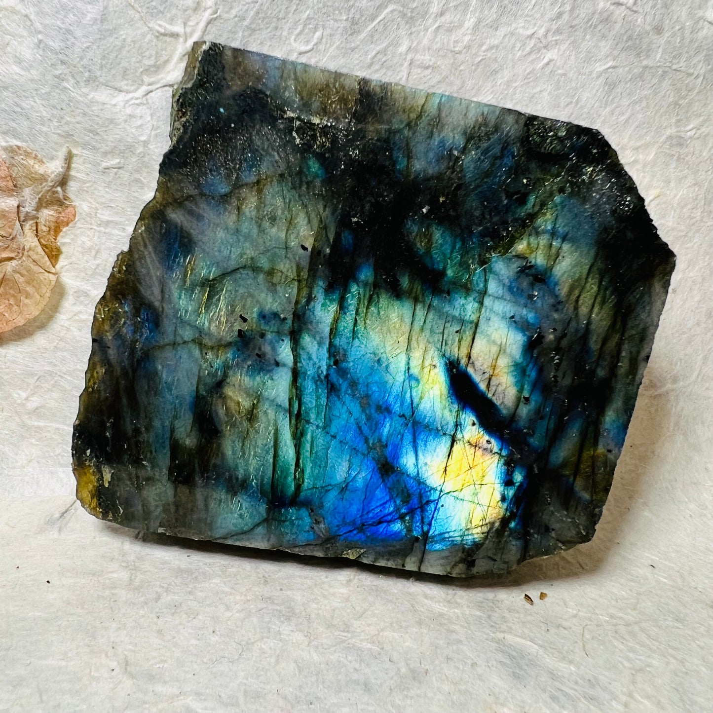 Labradorite Freeform