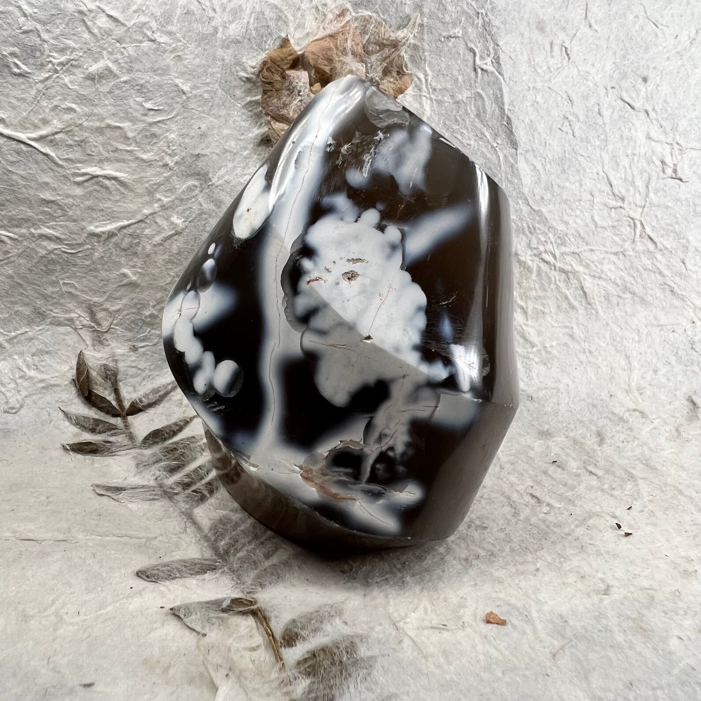 Orca Agate Freeform