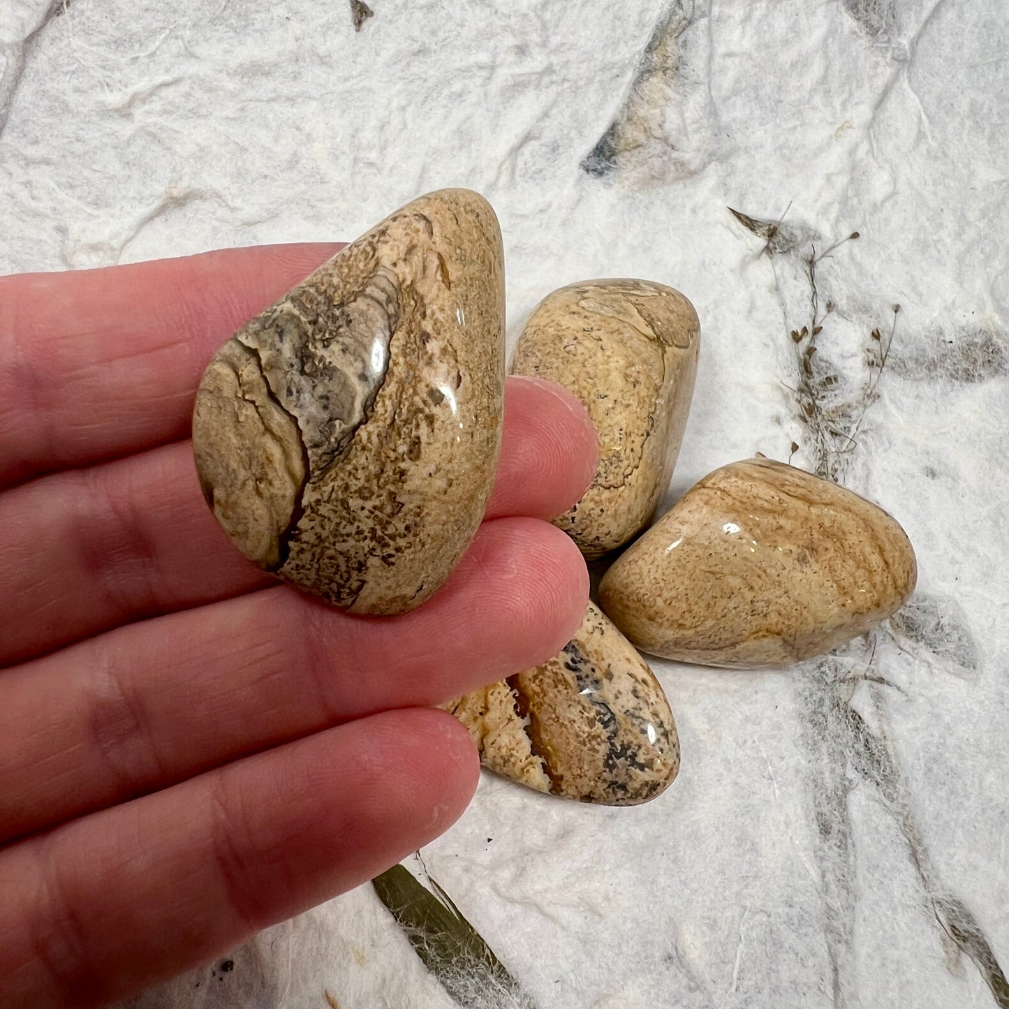 Picture Jasper Tumblestone