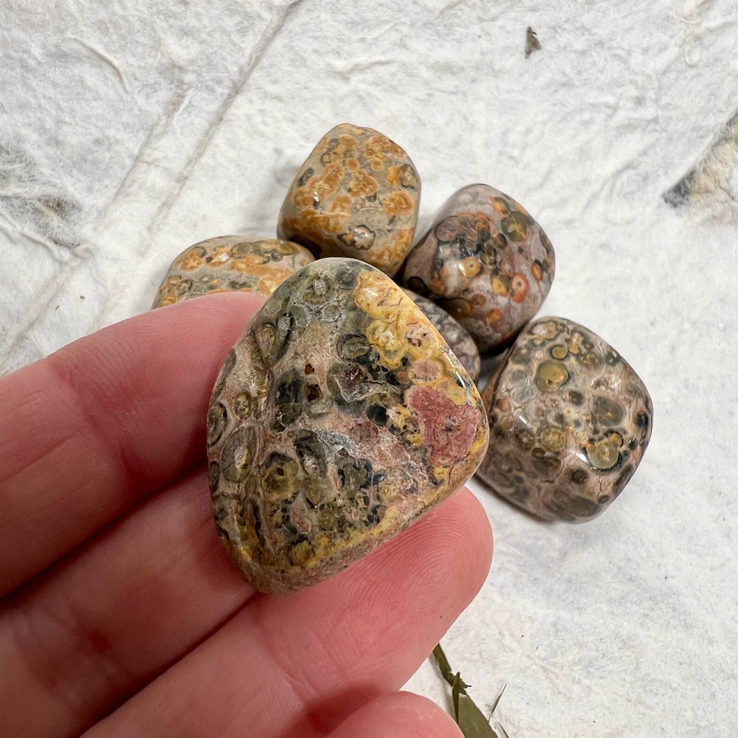 Leopard Skin Jasper Tumblestone