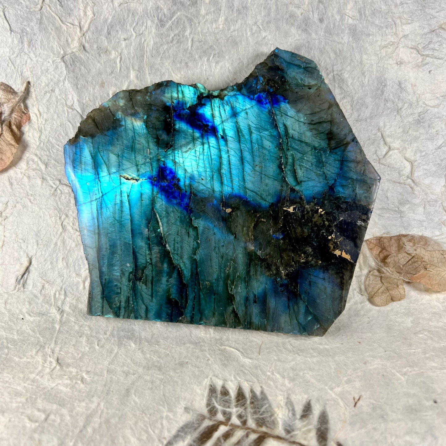 Labradorite Polished Slice