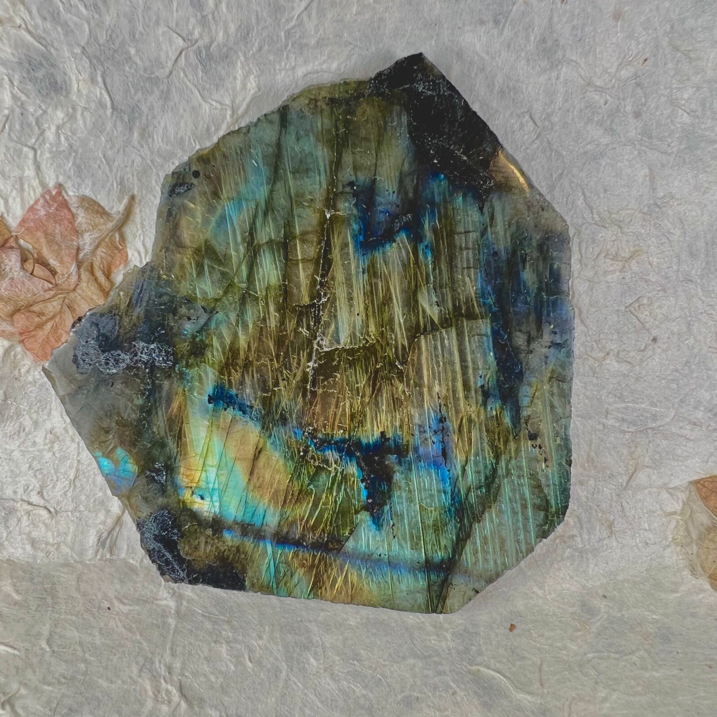 Labradorite Polished Slice