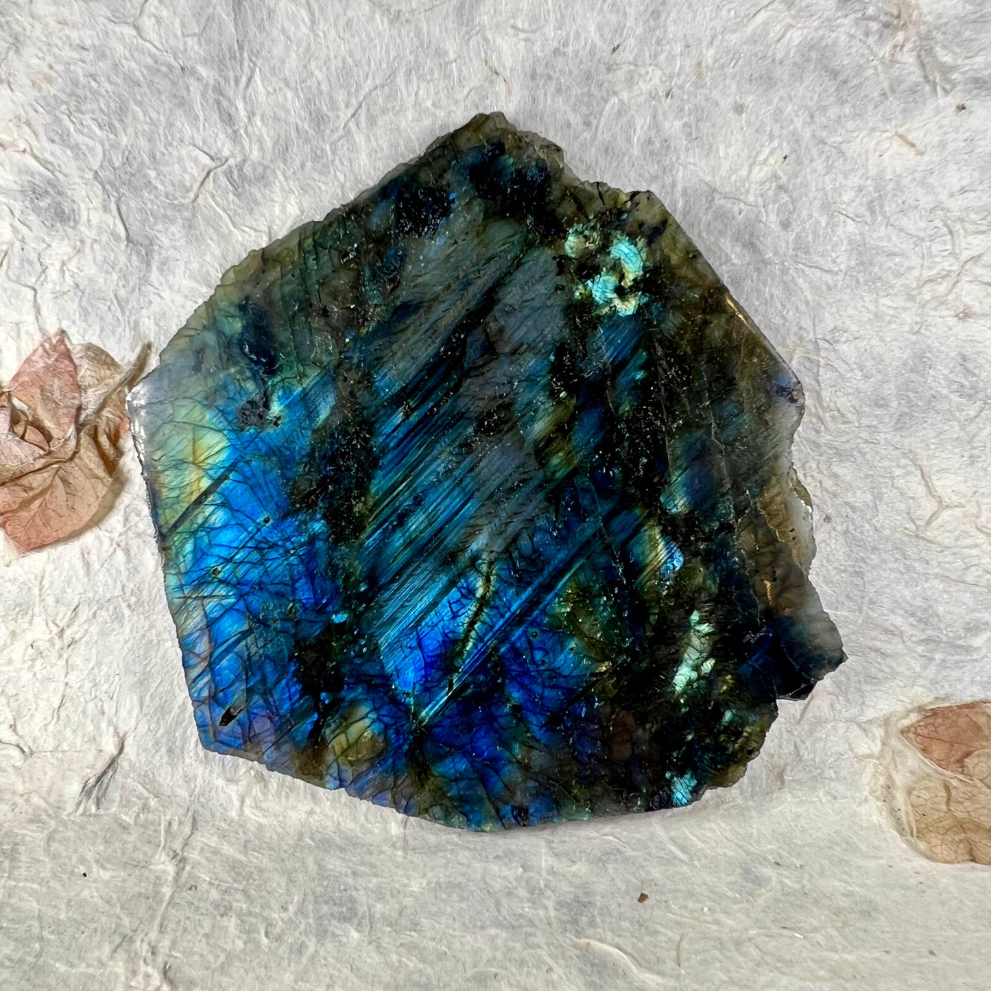 Labradorite Polished Slice