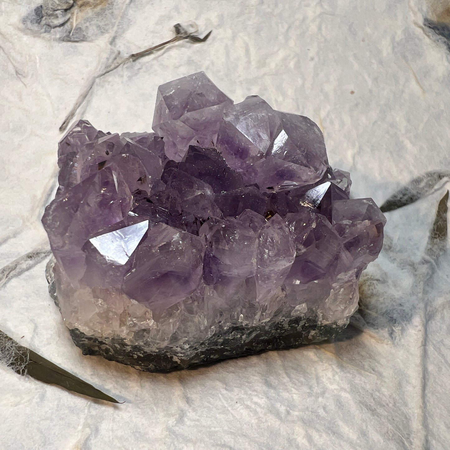 Amethyst Cluster