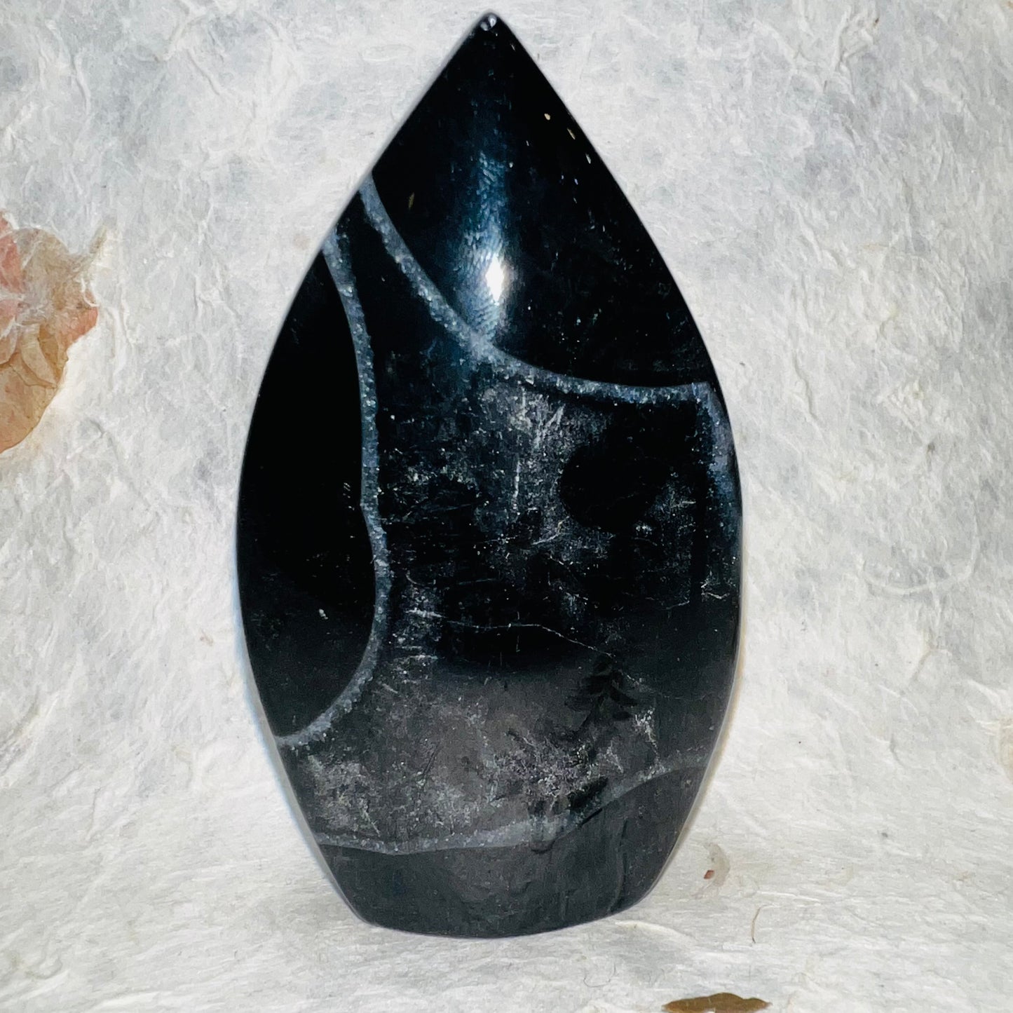 Black Sardonyx Freeform
