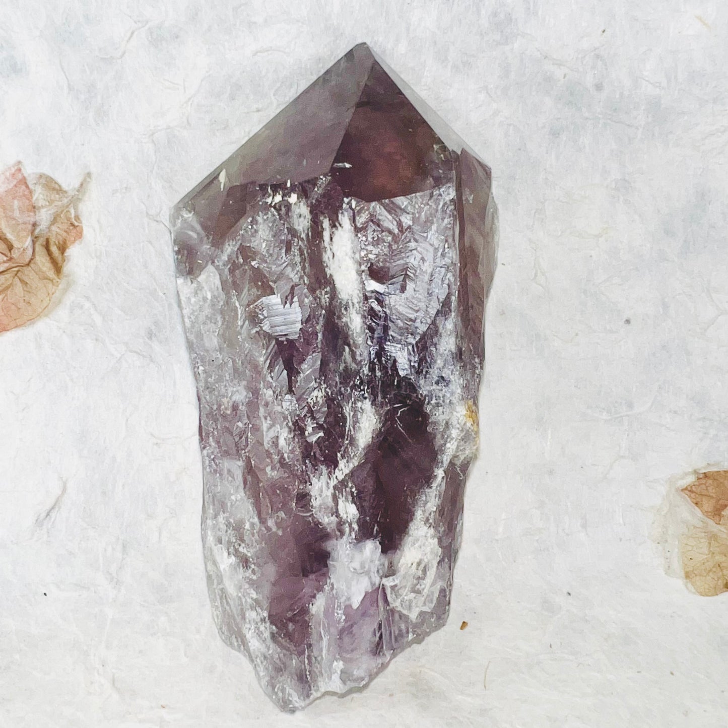 Dragon Tooth Amethyst Point