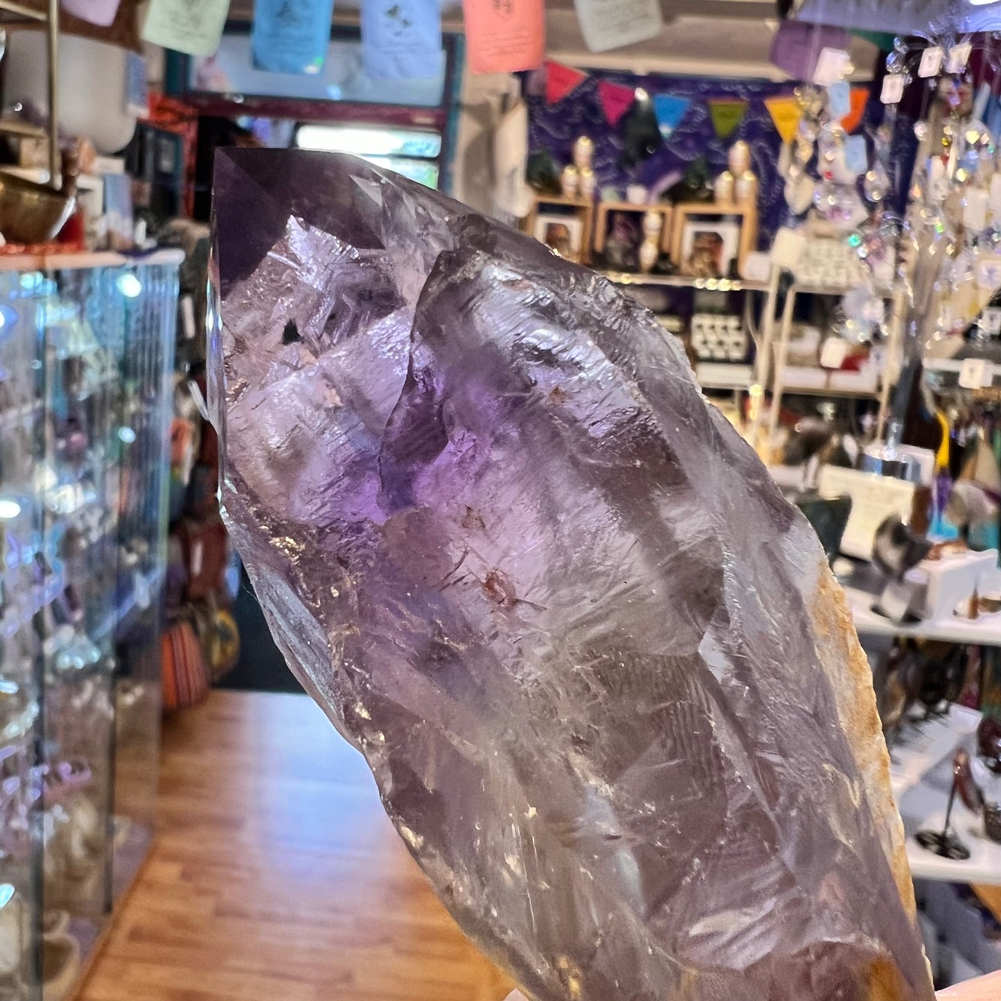 Dragon Tooth Amethyst Point