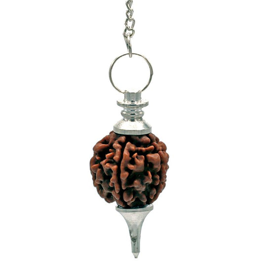 Rudraksha Seed Pendulum