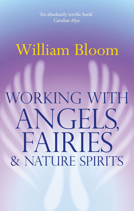 Working with Angels, Fairies & Nature Spirits by William Bloom