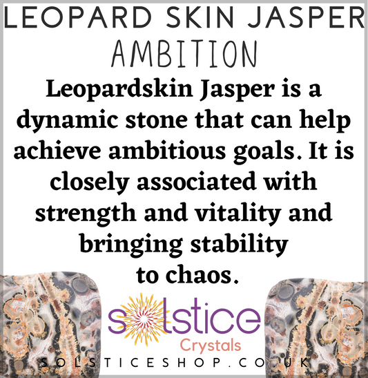 Leopard Skin Jasper Polished Tumblestone