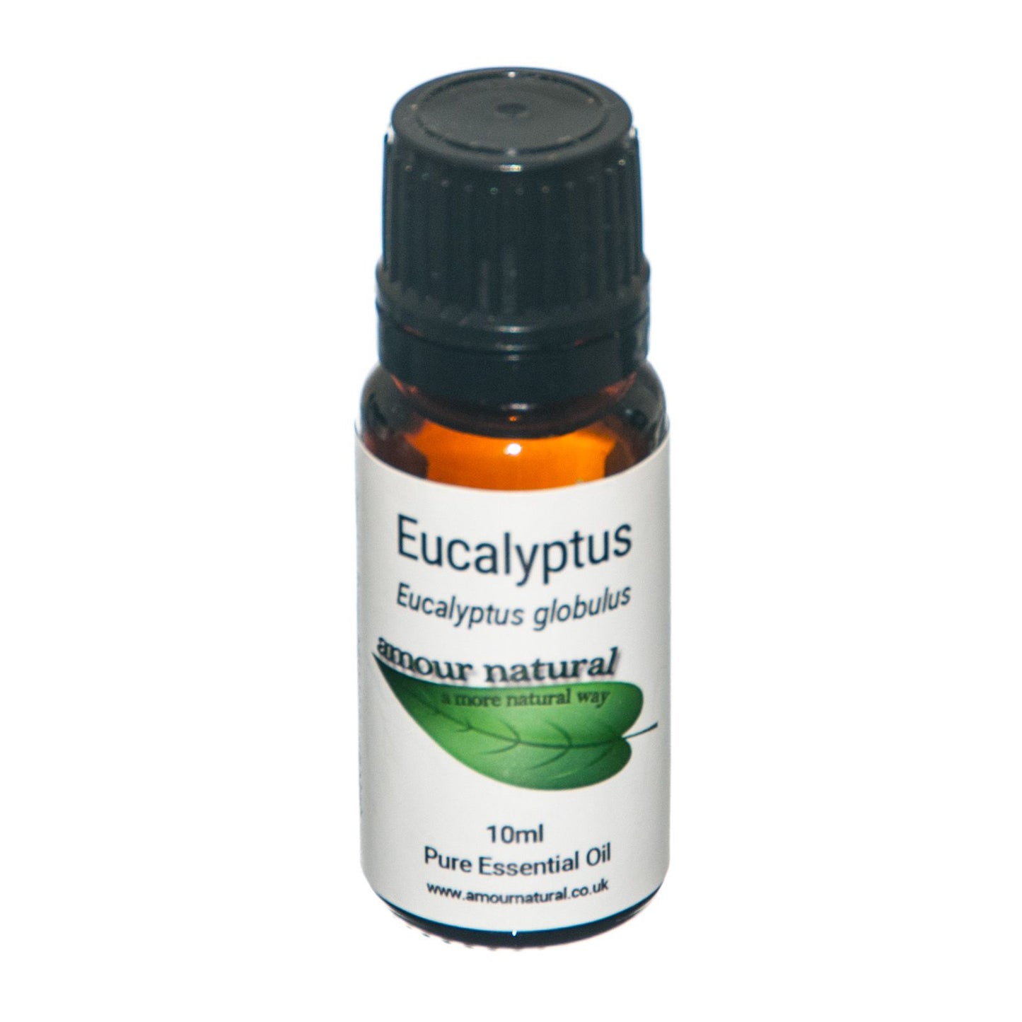 EUCALYPTUS ESSENTIAL OIL (Eucalyptus globulus)