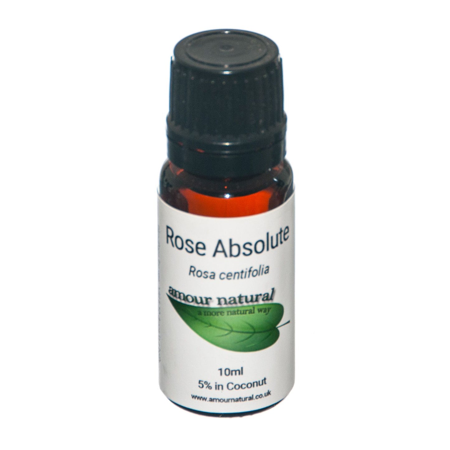 ROSE ABSOLUTE ESSENTIAL OIL 5% Dilute In Coconut Oil (Rosa centifolia, Cocus nucifera)